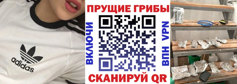 Галлюциногенные грибы Magic Shrooms  мега ТОР  дарк нет формула  Углич 